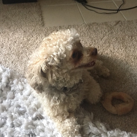 Meet your Posher, Michelle - Picture 1 of 1